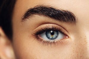 Best Eyebrow Waxing in Tampa, FL